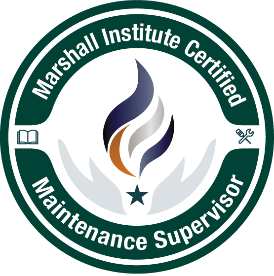 MI-CMS LOGO